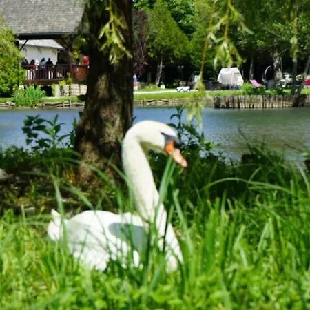 Le Domaine Du Hébergement de vacances