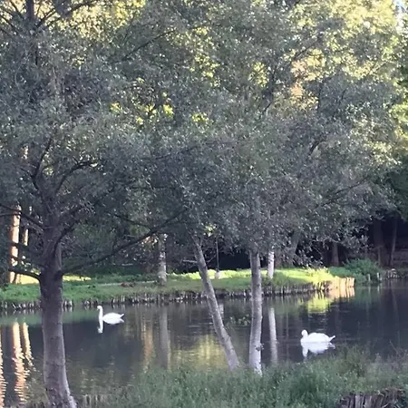 Le Domaine Du Hébergement de vacances